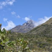  Ecuador